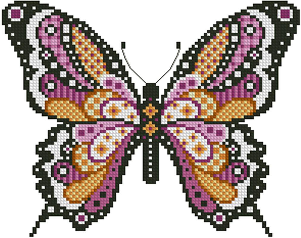 Colorful Butterflies Sunset